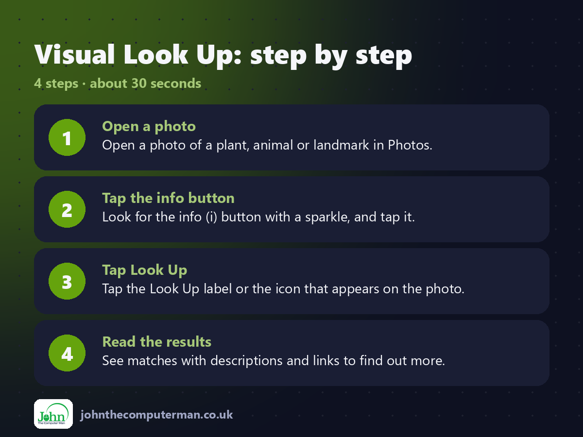 4 steps to use Visual Look Up on iPhone